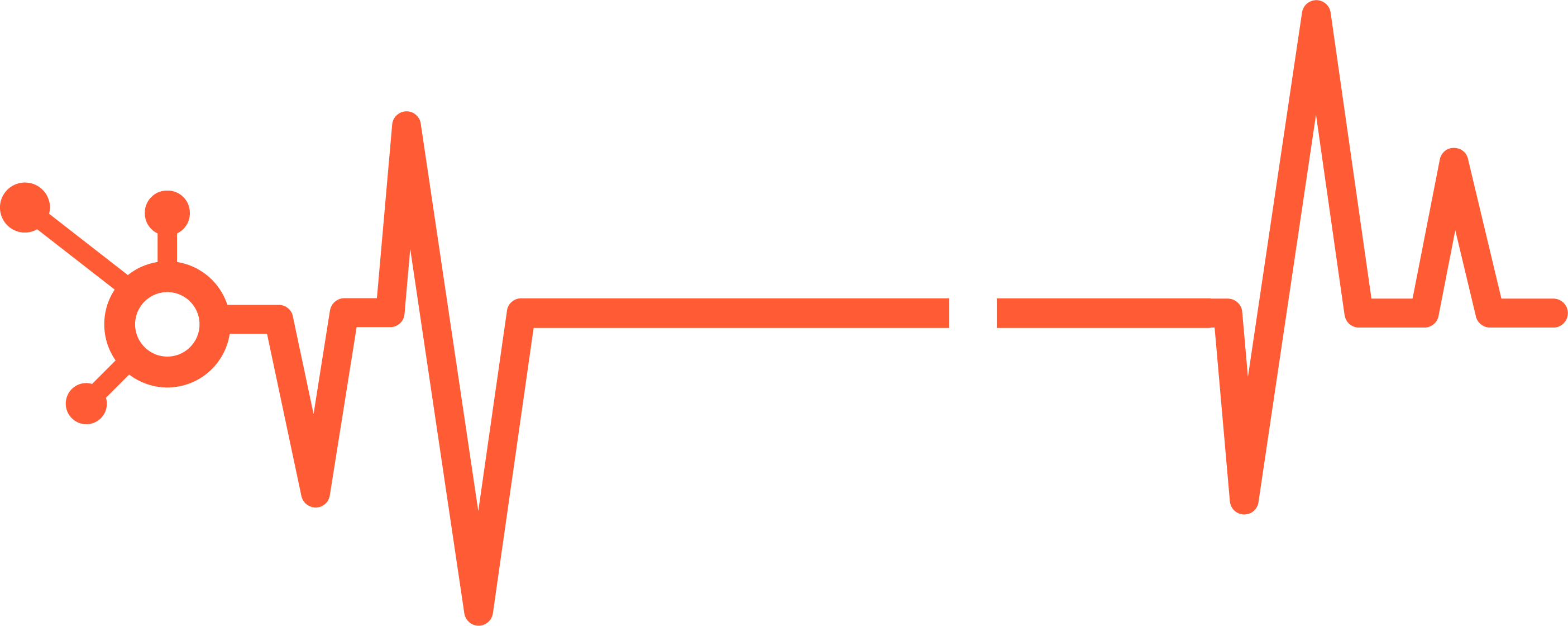 BQ_HSHealthCheck_Logo_White