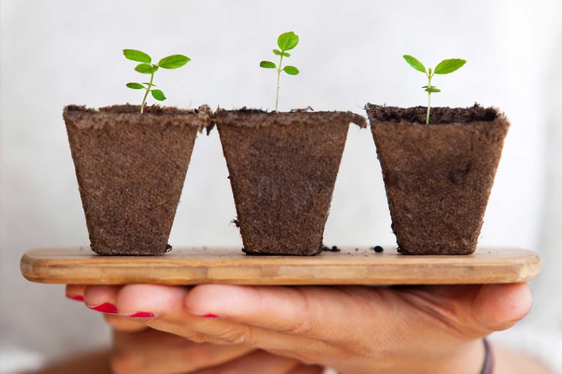Getting to Grips with Inbound Marketing Lead Nurturing
