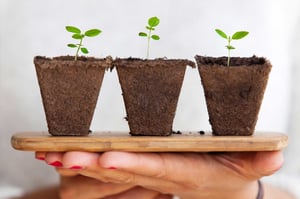 why is lead nurturing so important in B2B