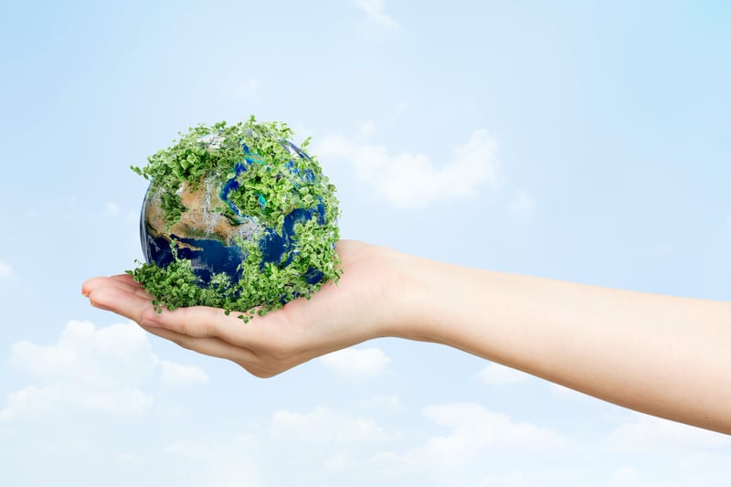 Have You Thought About Your Website's Carbon Footprint?