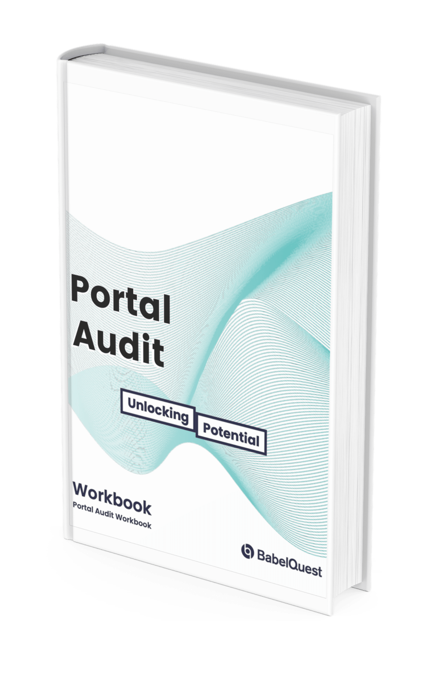 offer-portal-audit-workbook