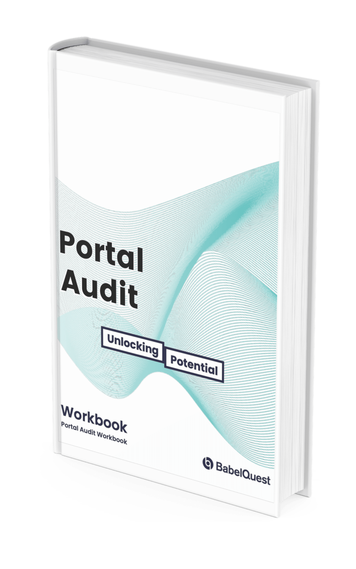 Portal-Audit-workbook